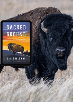 Follow the trail from the arenas of Buffalo Bill’s Wild West to the tragedy at Wounded Knee.